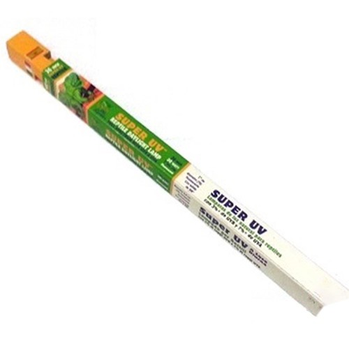 Esu reptile neon - neon, super
